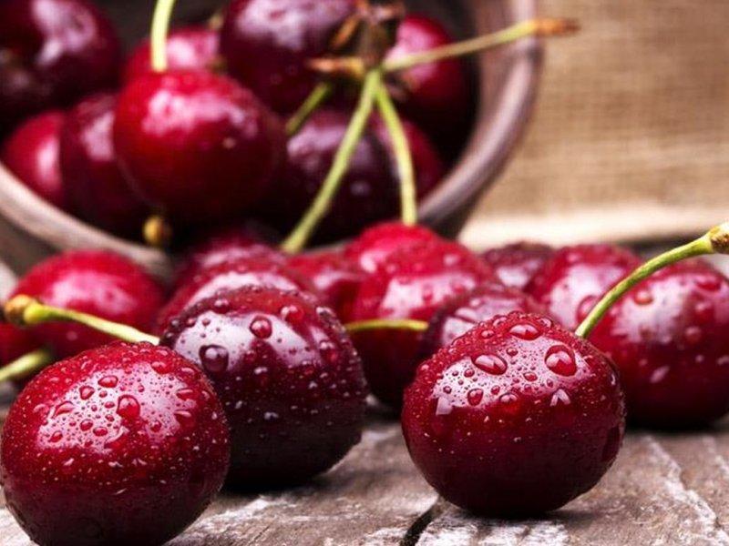 Вишня купить саженцы из питомника в Каменске-Шахтинском